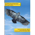 Динамический отпугиватель птиц "Кондор-180" без флагштока
